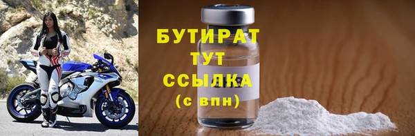 индика Горнозаводск