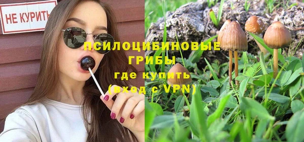таблы Гусев