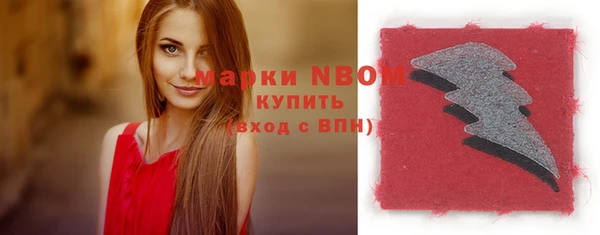 таблы Гусев