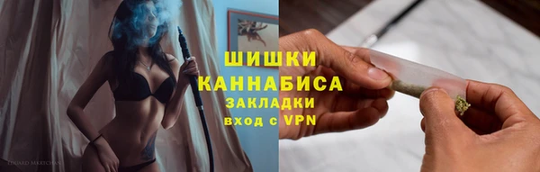 таблы Гусев
