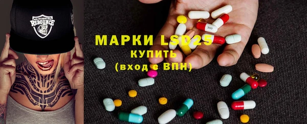 таблы Гусев