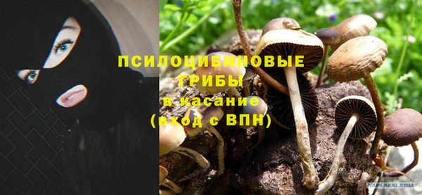 ECSTASY Гусиноозёрск