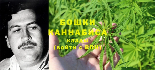 таблы Гусев