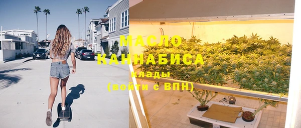 таблы Гусев
