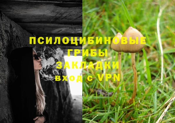 a pvp Гусь-Хрустальный