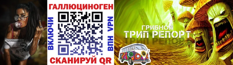 mega ссылки  наркота  Камышин  Галлюциногенные грибы мицелий 